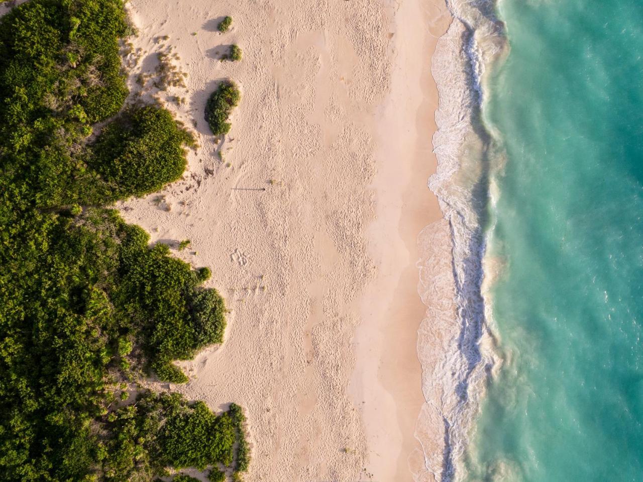 Grand Palladium Costa Mujeres Resort & Spa Cancún Kültér fotó